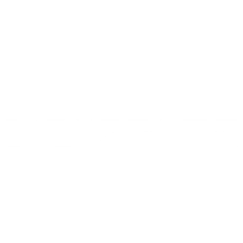 Datalyze